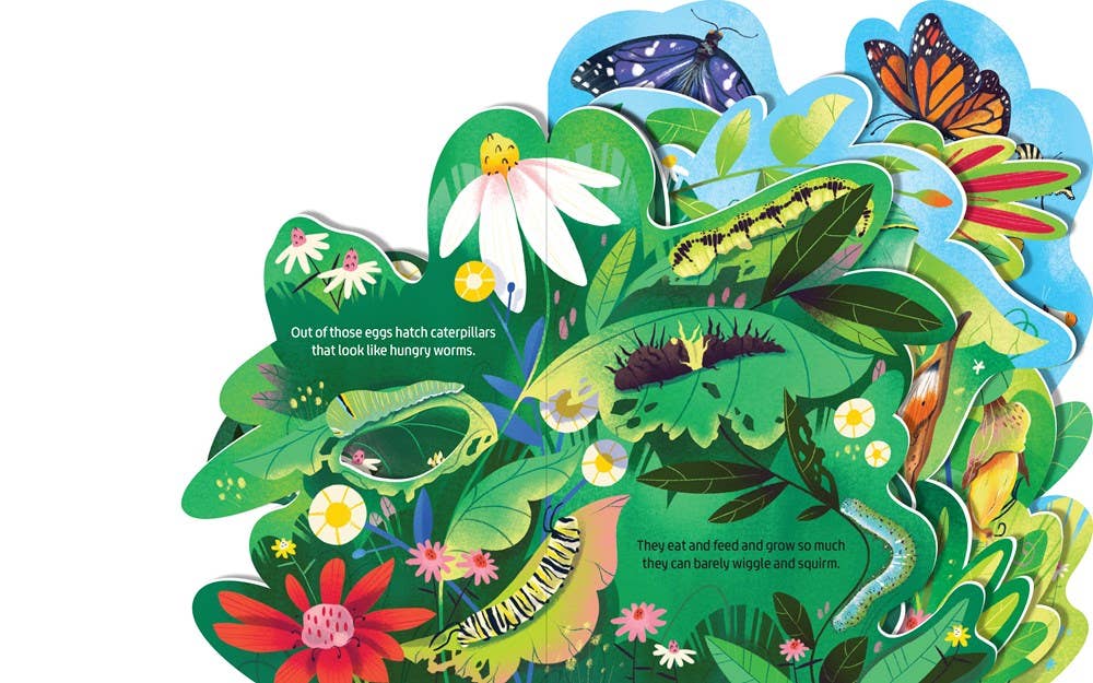 "Beautiful Butterflies" Board book
