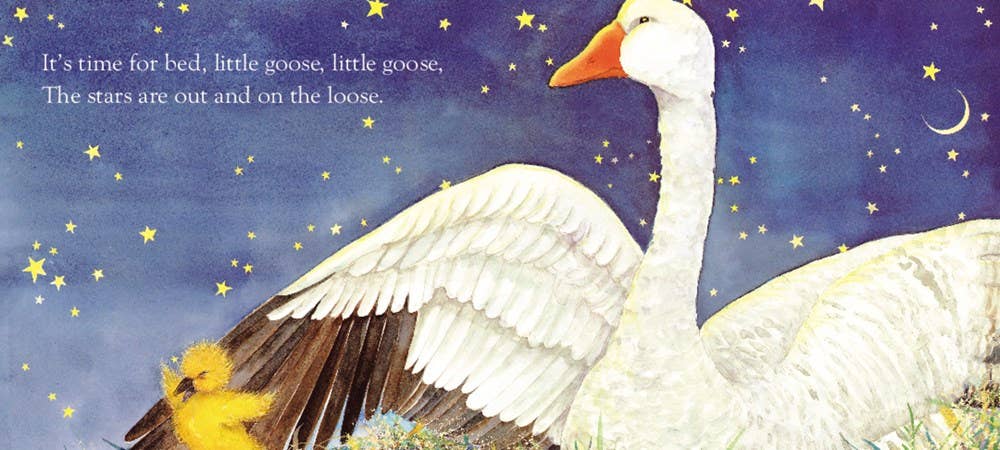Time for Bed Board Book : Mem Fox &Jane Dyer