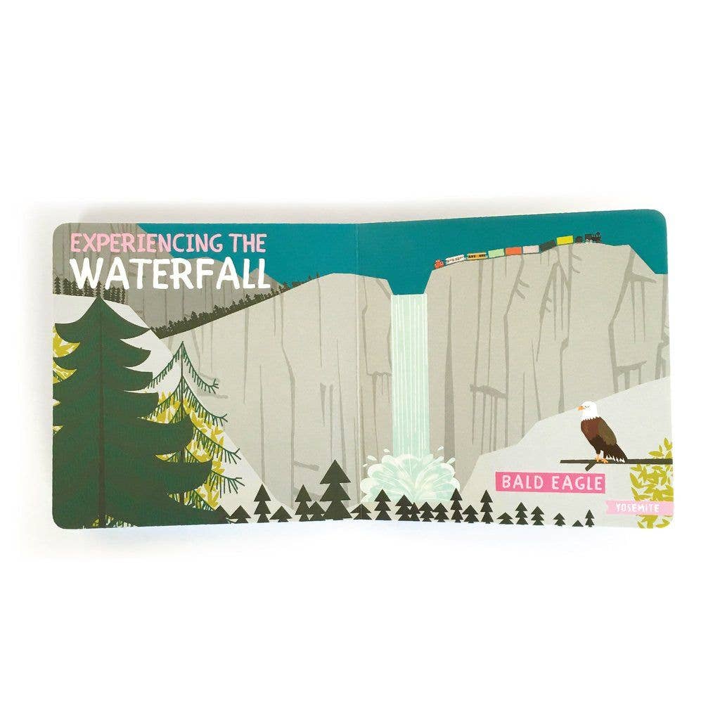 "All Aboard! National Parks: A Wildlife Primer" Board Book