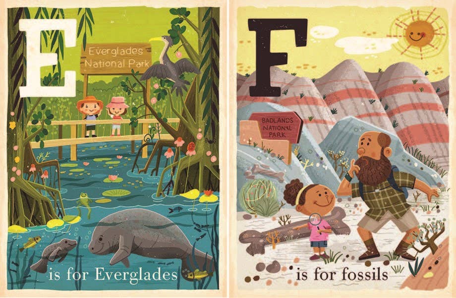 "B is for Bison" Board Book