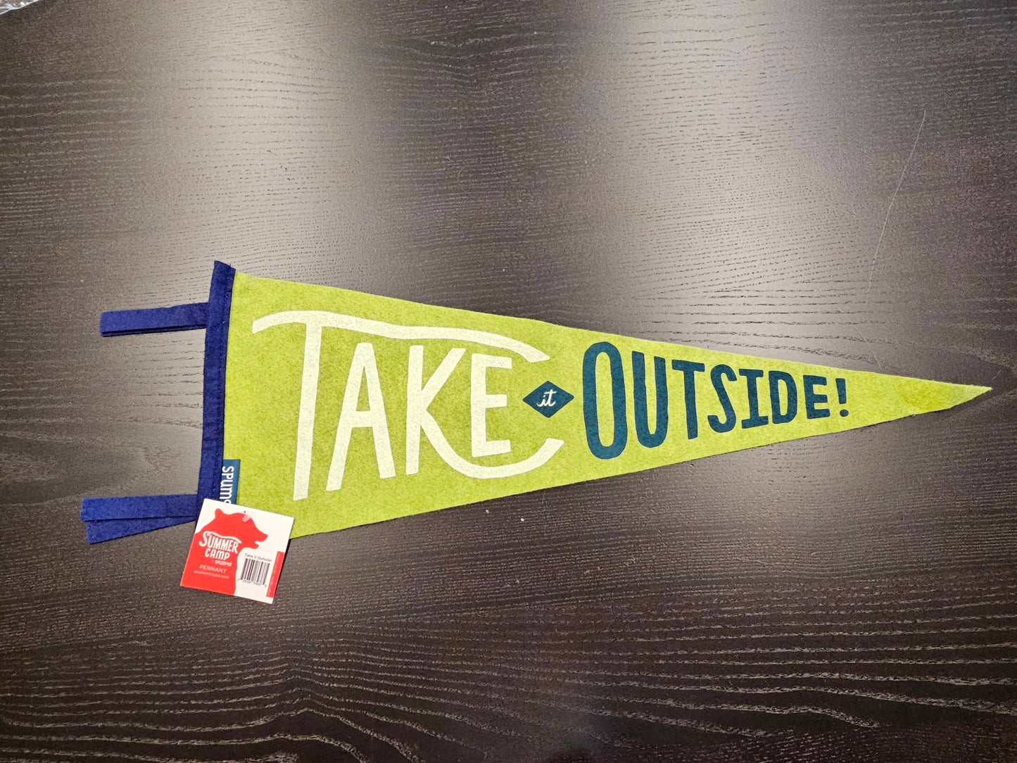 Take It Outside (Large Pennant)