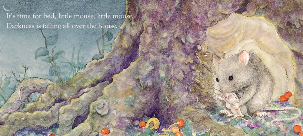 Time for Bed Board Book : Mem Fox &Jane Dyer
