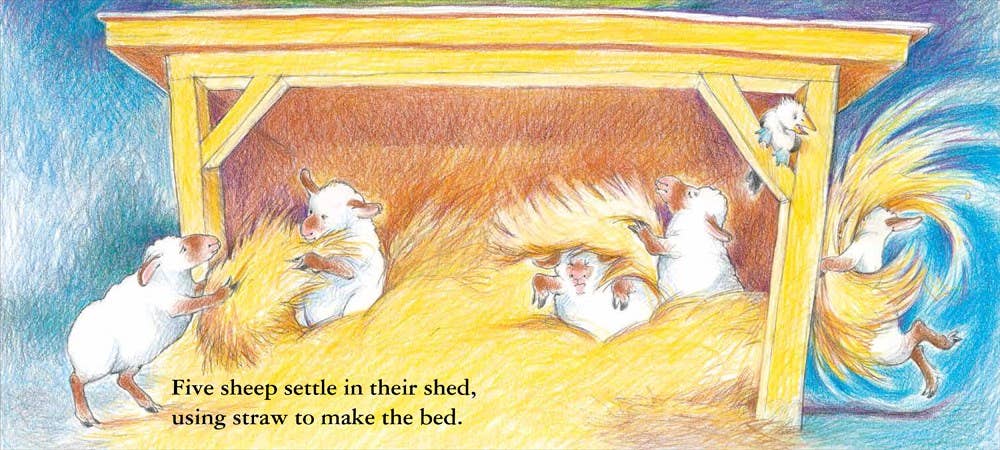 Sheep Go to Sleep Board Book: Nancy E. Shaw