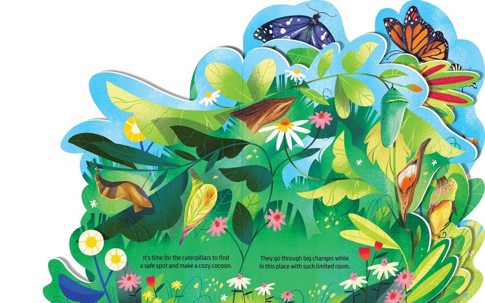 "Beautiful Butterflies" Board book