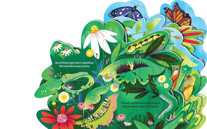 "Beautiful Butterflies" Board book