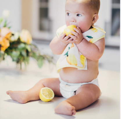 Muslin Bibs - Berry Lemonade