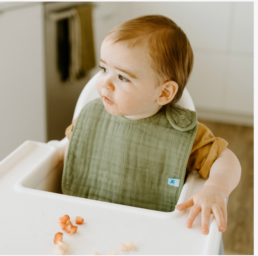 Muslin Bibs- Fern