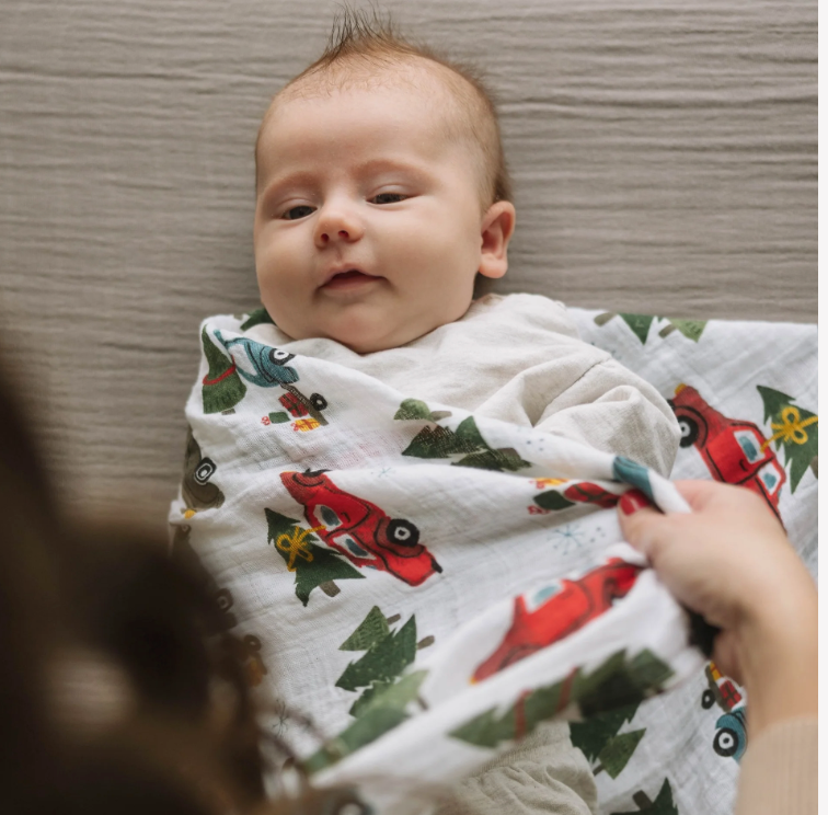 Cotton Muslin Swaddle - Holiday Haul