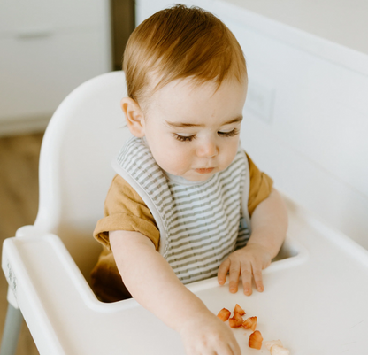 Muslin Bibs- Dino Friends