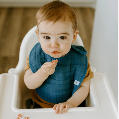 Muslin Bibs- Dino Friends