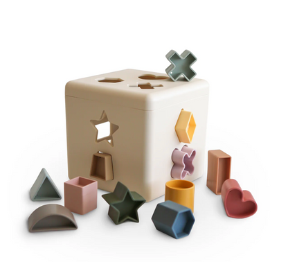 Shape Sorting Box