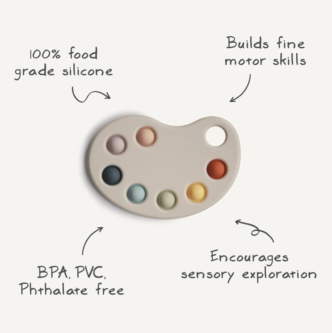 Paint Palette Press Toy