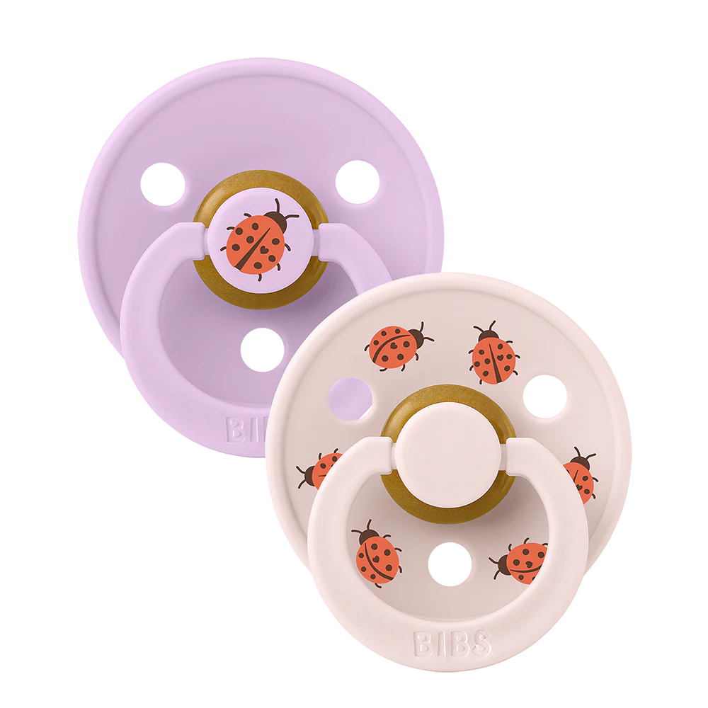 STUDIO Colour 2-Pack