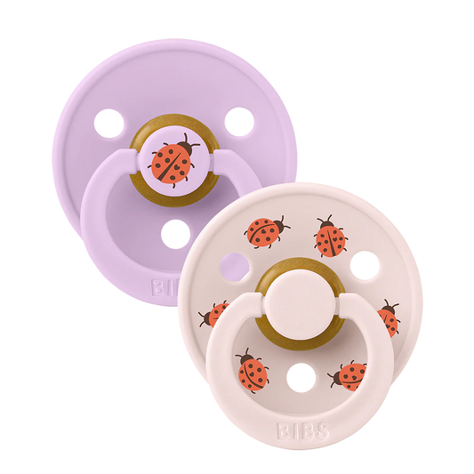 STUDIO Colour 2-Pack